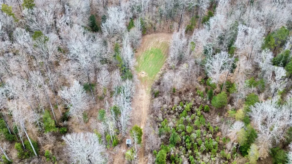 0 Shiloh Road Toxey AL 36904