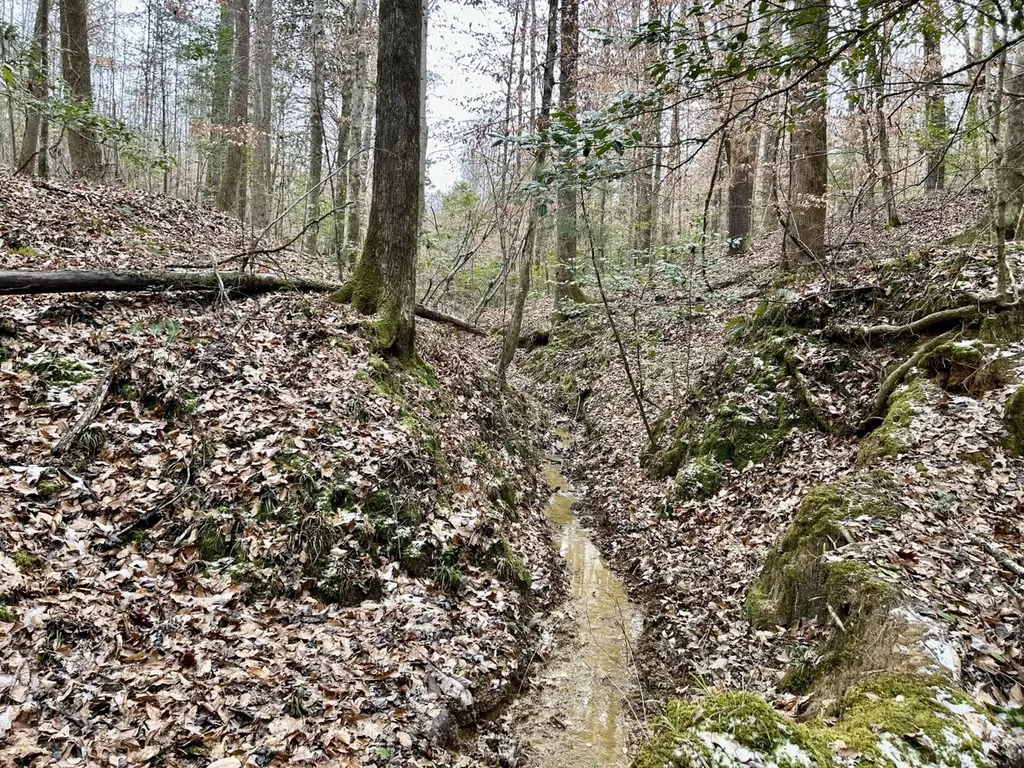 0 Shiloh Road Toxey AL 36904