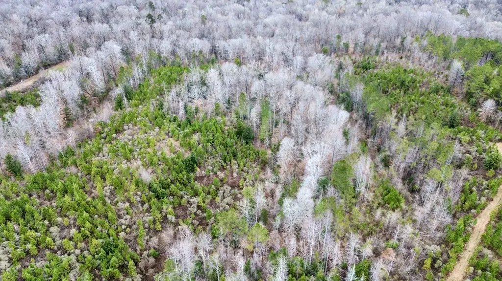 0 Shiloh Road Toxey AL 36904