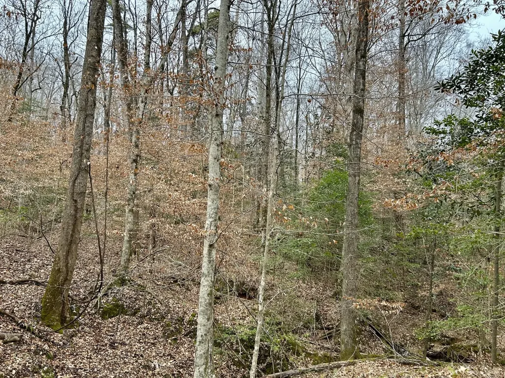 0 Shiloh Road Toxey AL 36904