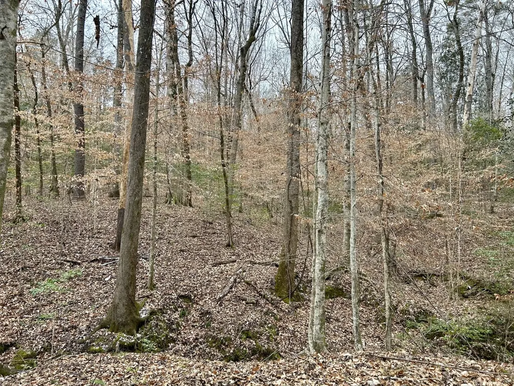 0 Shiloh Road Toxey AL 36904