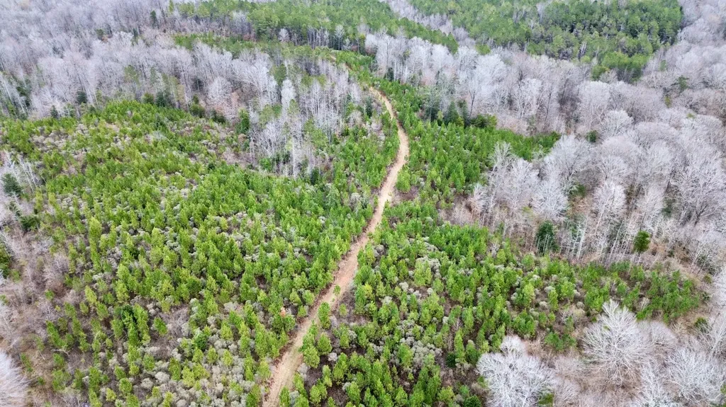 0 Shiloh Road Toxey AL 36904