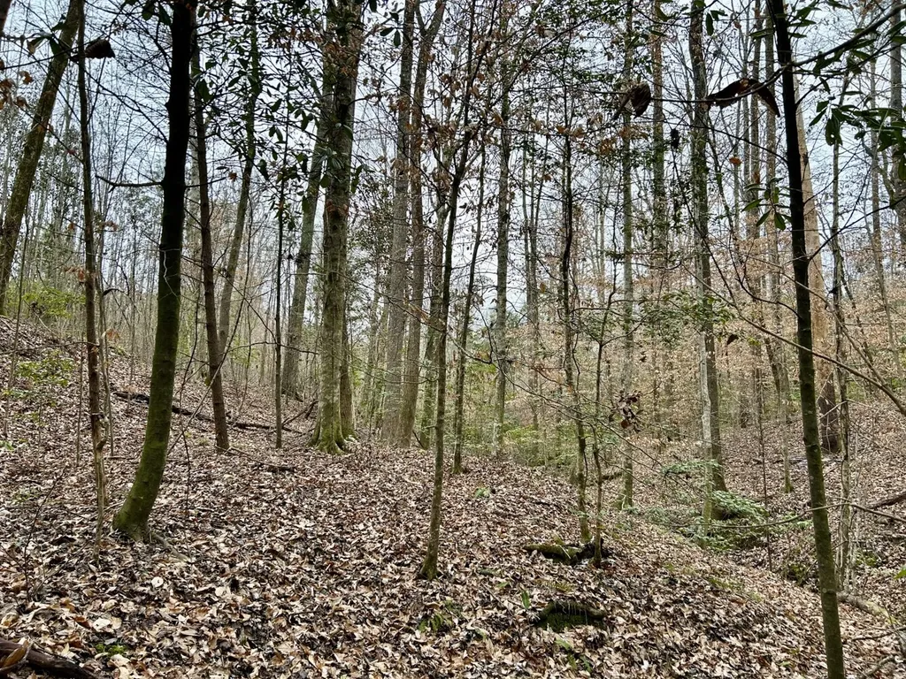 0 Shiloh Road Toxey AL 36904