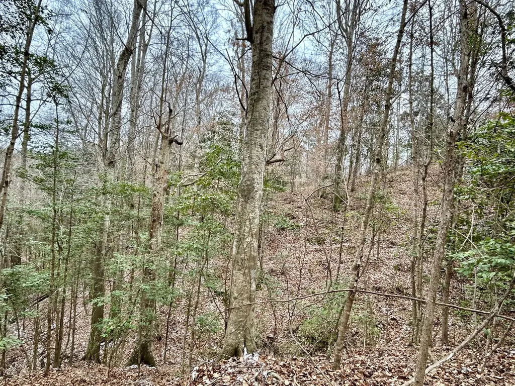 0 Shiloh Road Toxey AL 36904