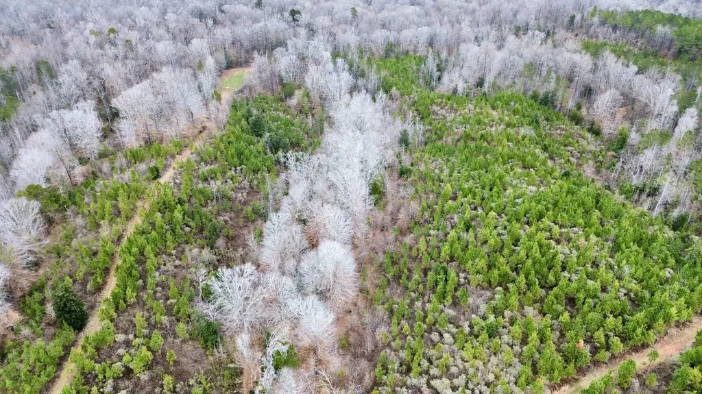 0 Shiloh Road Toxey AL 36904