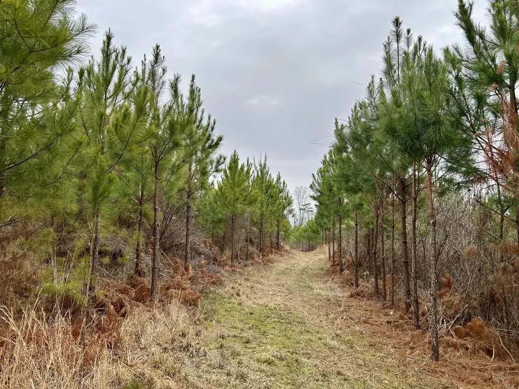 0 Shiloh Road Toxey AL 36904