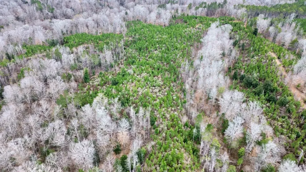 0 Shiloh Road Toxey AL 36904