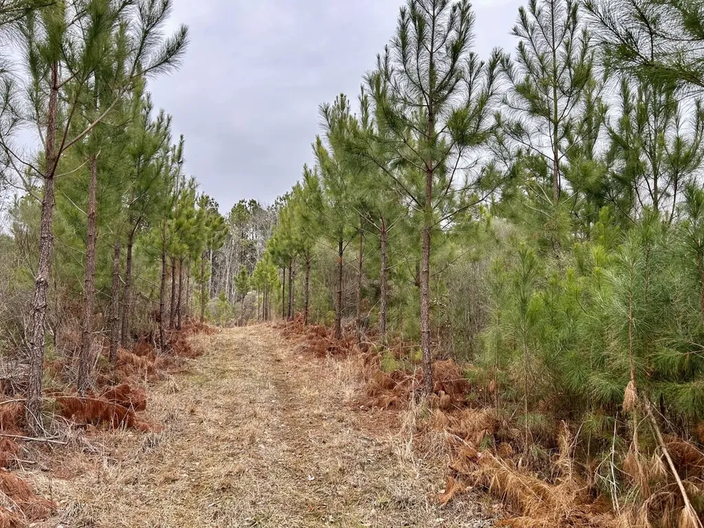 0 Shiloh Road Toxey AL 36904