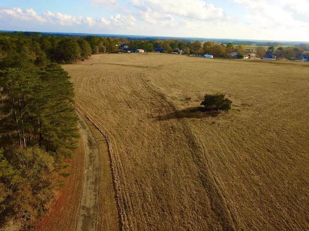 0 Highway 431 N Headland AL 36345