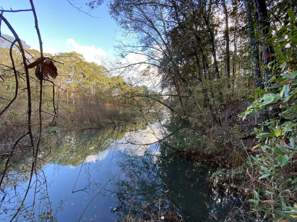 0 Highway 431 N Headland AL 36345