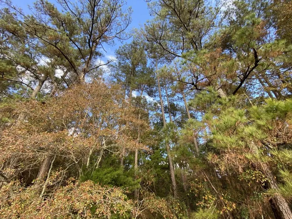 0 Highway 431 N Headland AL 36345