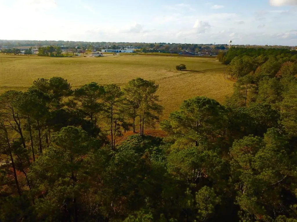 0 Highway 431 N Headland AL 36345