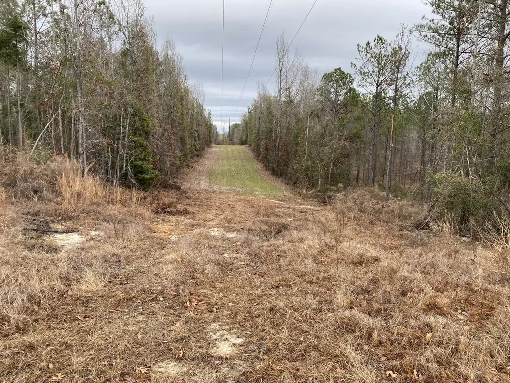 O Highway 17 Butler AL 36904