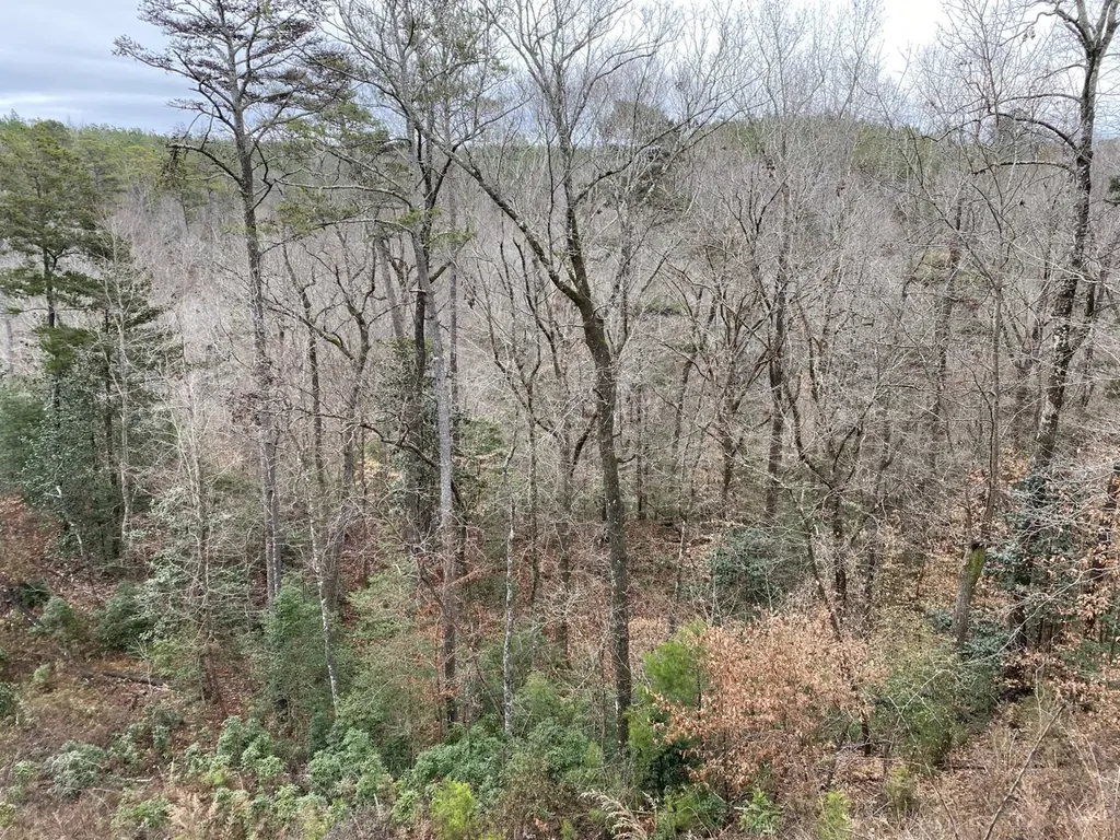 O Highway 17 Butler AL 36904