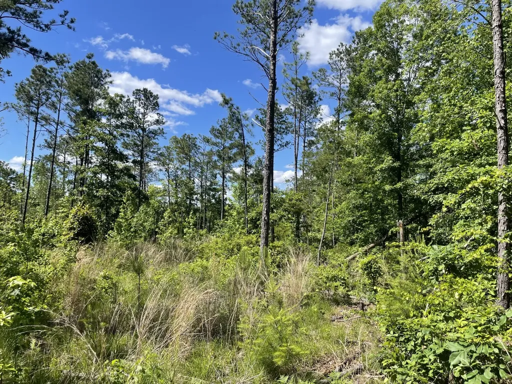 O Highway 17 Butler AL 36904