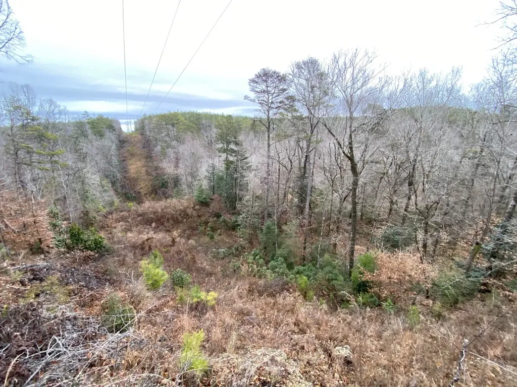 O Highway 17 Butler AL 36904