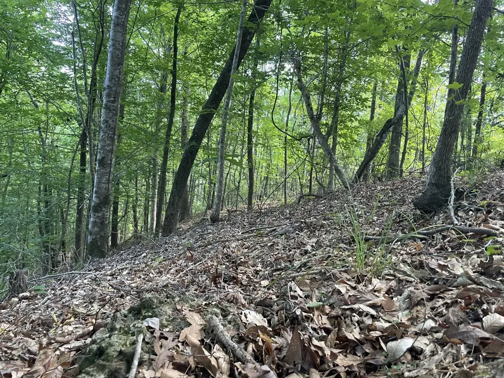 O Highway 17 Butler AL 36904