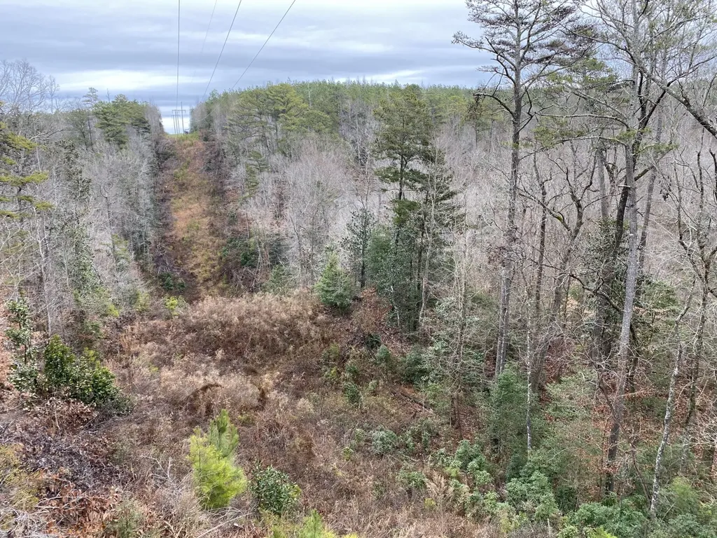 O Highway 17 Butler AL 36904