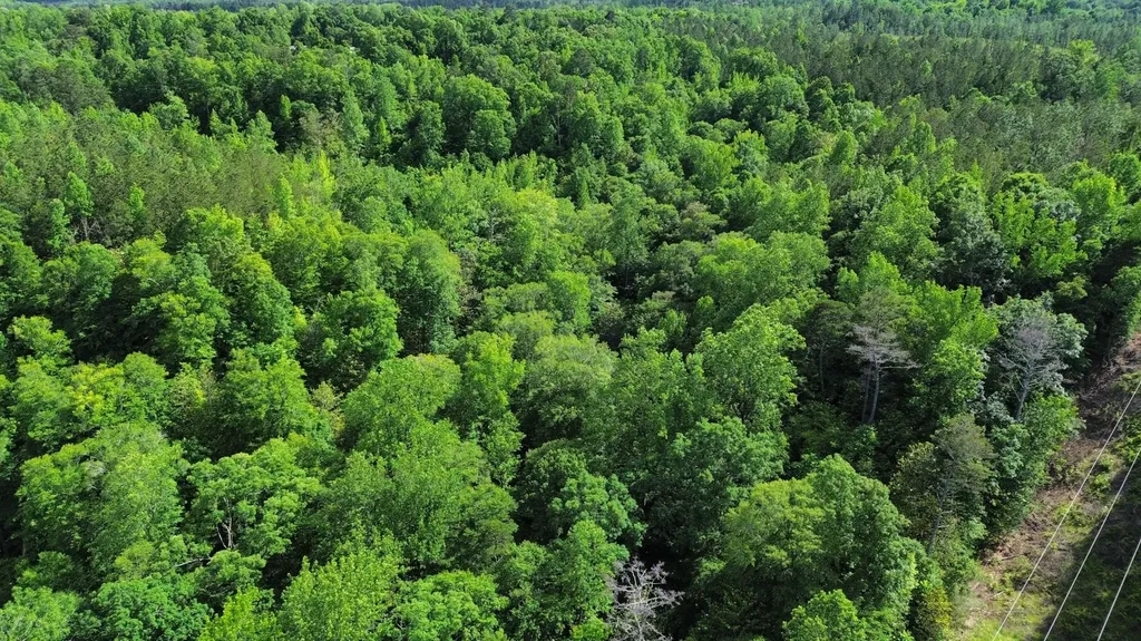 O Highway 17 Butler AL 36904