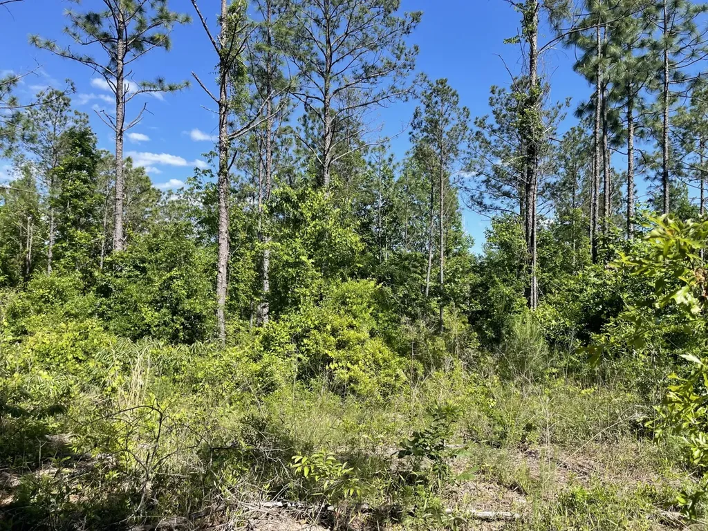 O Highway 17 Butler AL 36904