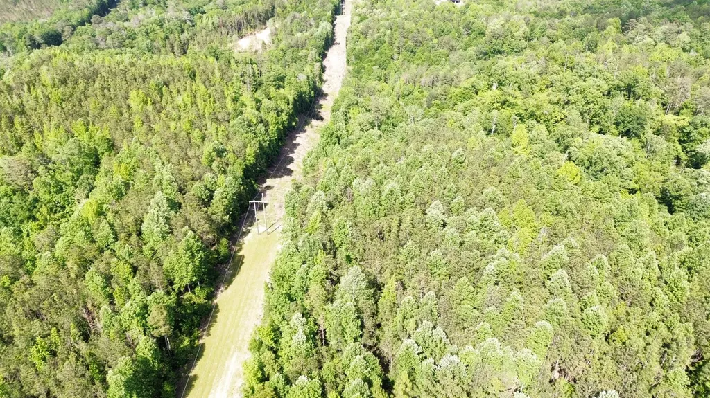 O Highway 17 Butler AL 36904