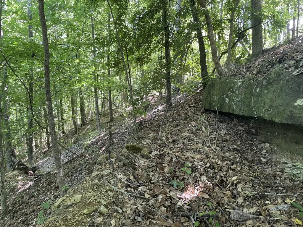 O Highway 17 Butler AL 36904