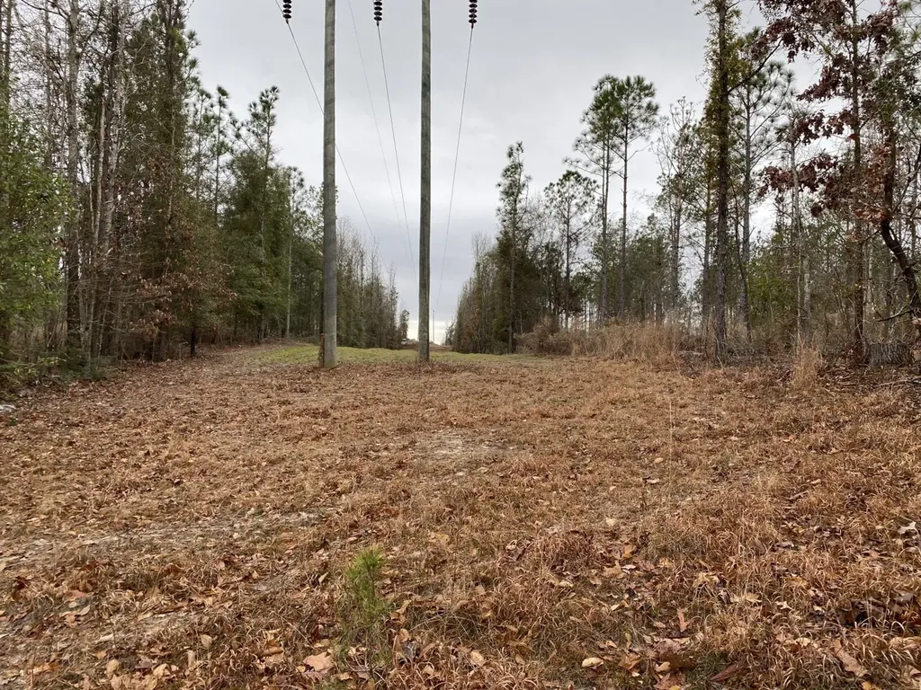 O Highway 17 Butler AL 36904