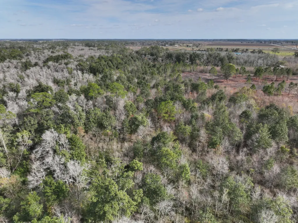 0 Baldwin Beach Express At Cr 32 Summerdale AL 36580