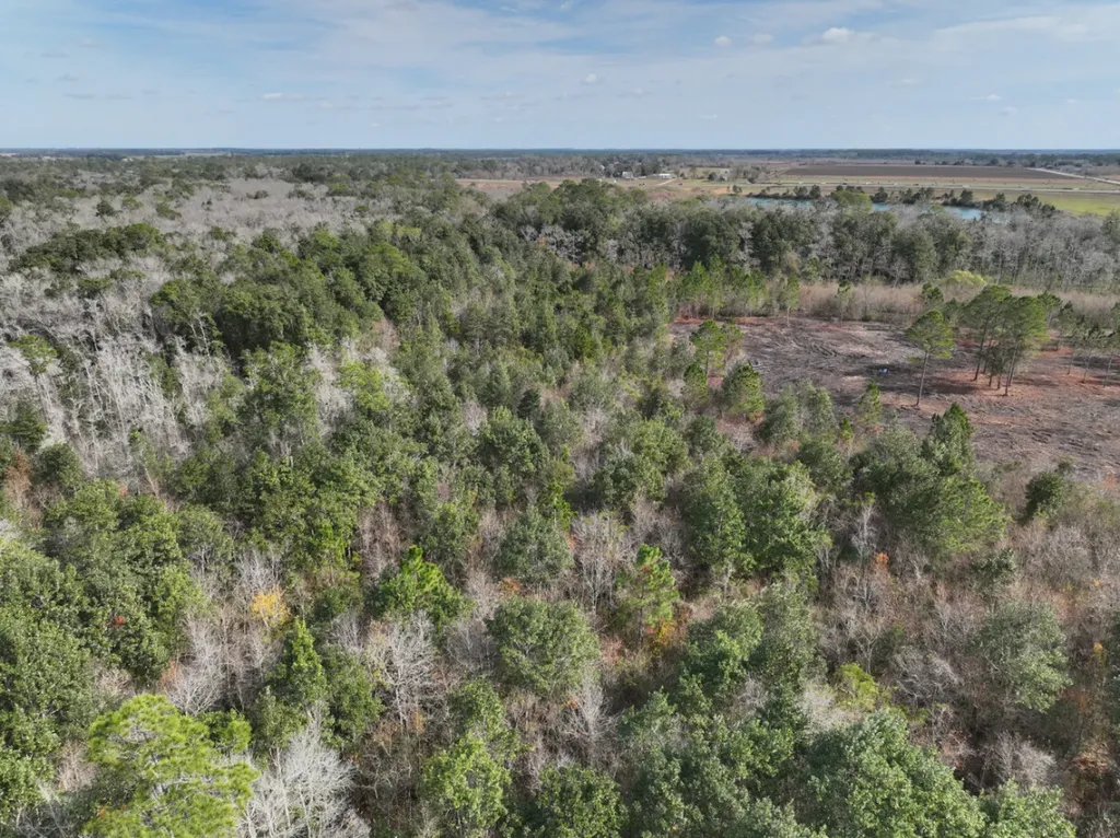 0 Baldwin Beach Express At Cr 32 Summerdale AL 36580
