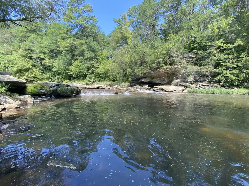 0 Bluegrass Lane Jasper AL 35503