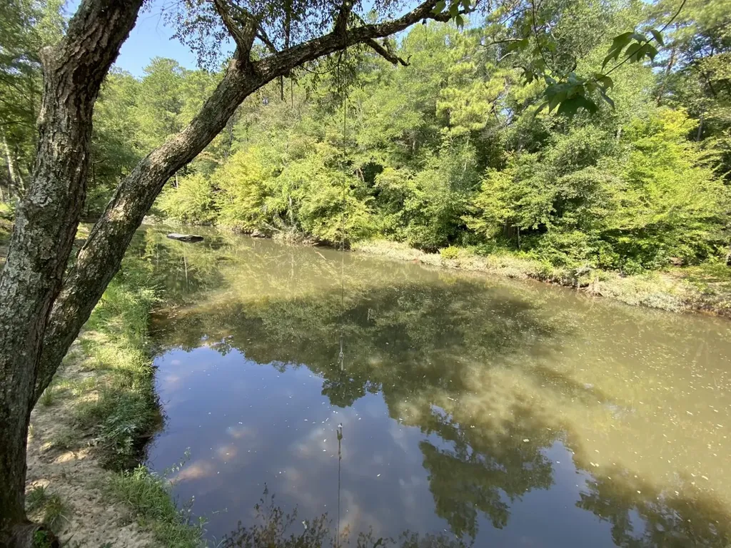 0 Bluegrass Lane Jasper AL 35503