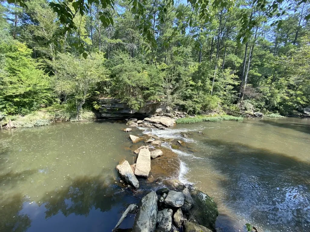 0 Bluegrass Lane Jasper AL 35503