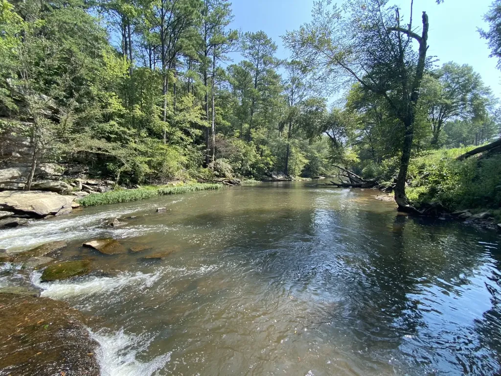 0 Bluegrass Lane Jasper AL 35503