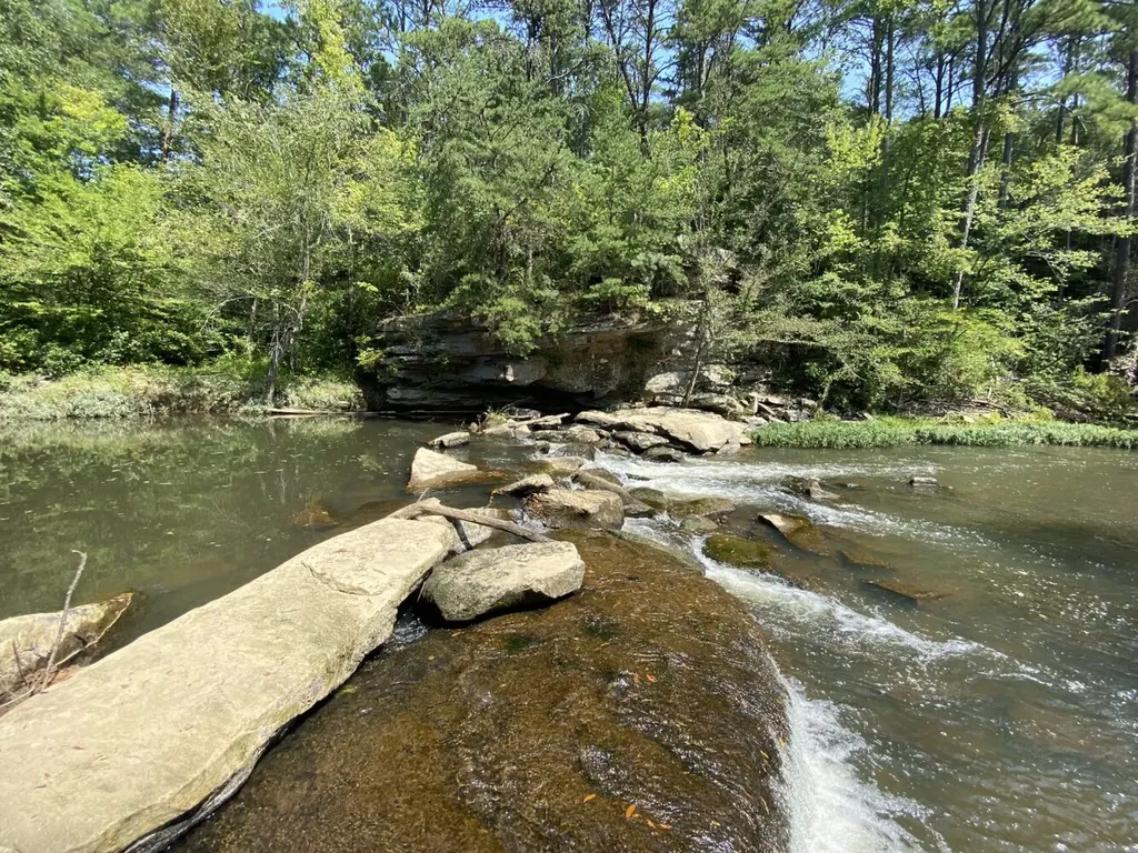 0 Bluegrass Lane Jasper AL 35503