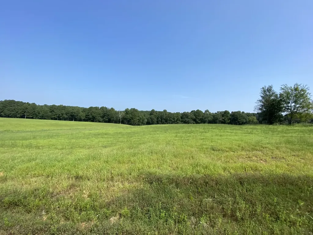 0 Bluegrass Lane Jasper AL 35503