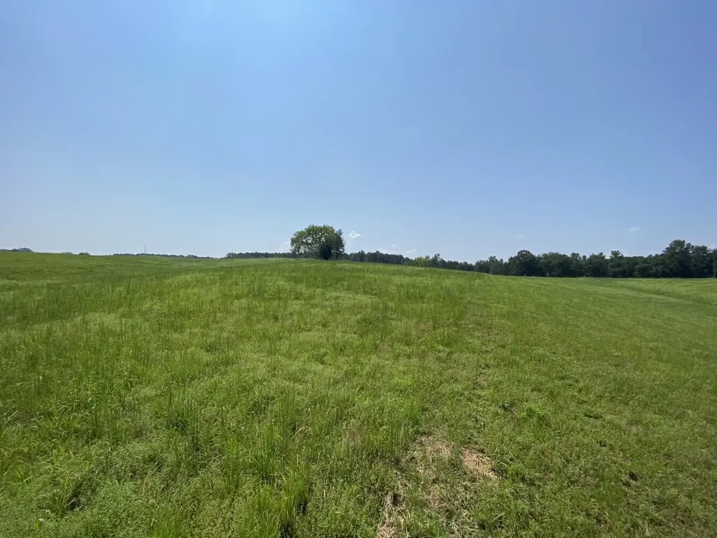 0 Bluegrass Lane Jasper AL 35503