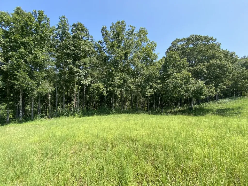 0 Bluegrass Lane Jasper AL 35503