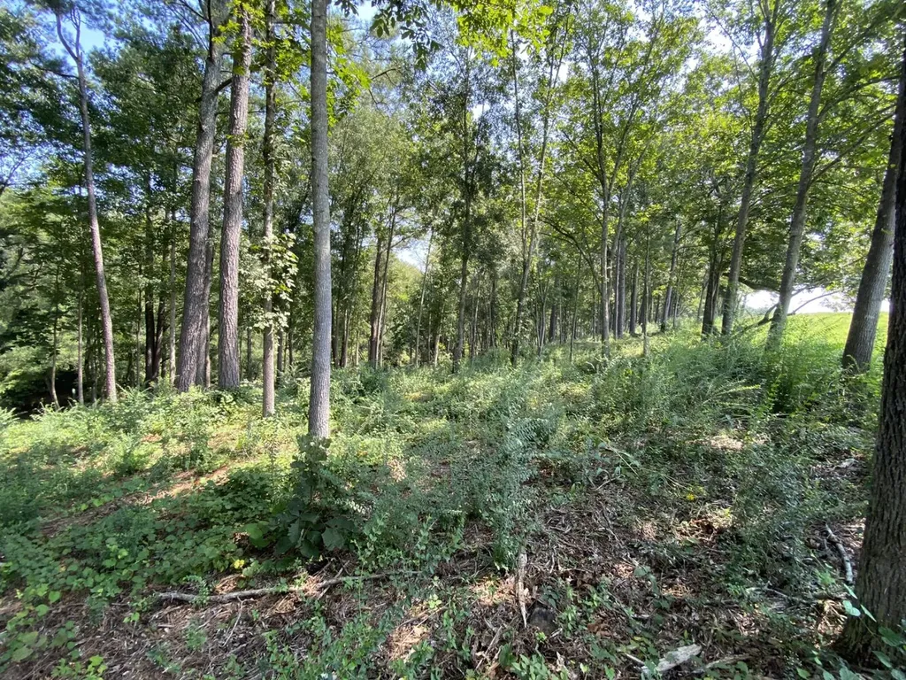 0 Bluegrass Lane Jasper AL 35503