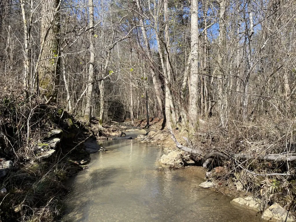 0 Tutweiler Road Oakman AL 35579