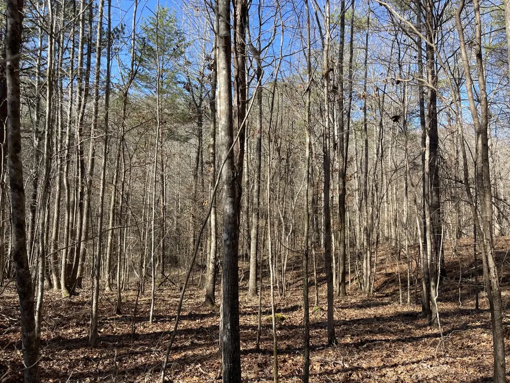 0 Tutweiler Road Oakman AL 35579