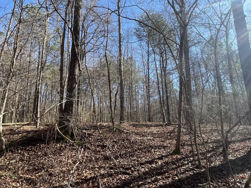 0 Tutweiler Road Oakman AL 35579