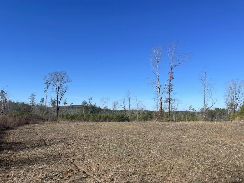 0 Tutweiler Road Oakman AL 35579
