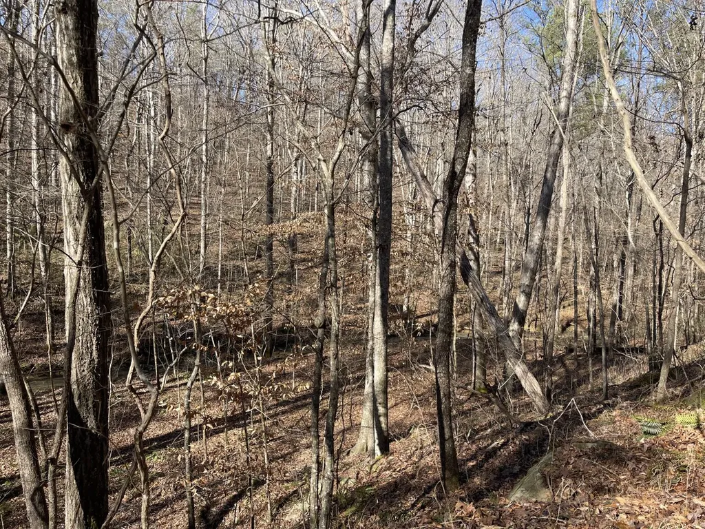 0 Tutweiler Road Oakman AL 35579
