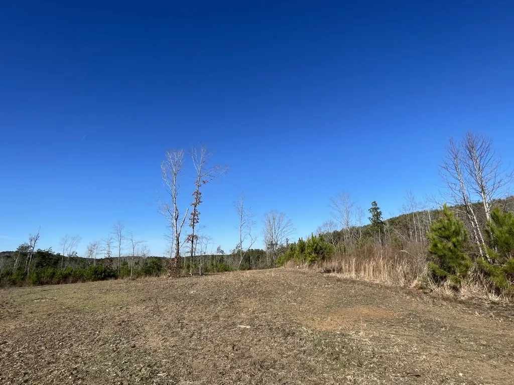 0 Tutweiler Road Oakman AL 35579