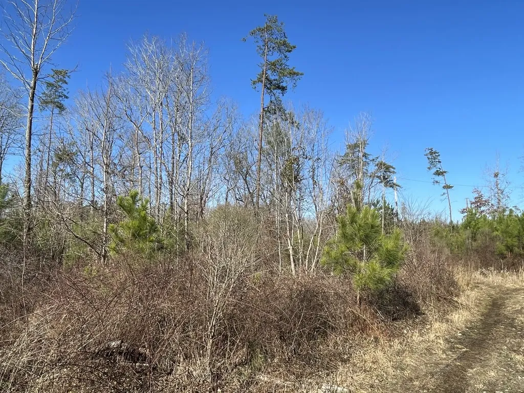 0 Tutweiler Road Oakman AL 35579
