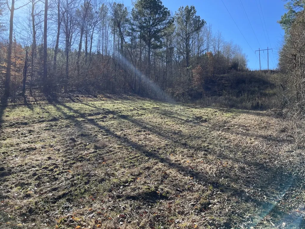 0 Tutweiler Road Oakman AL 35579