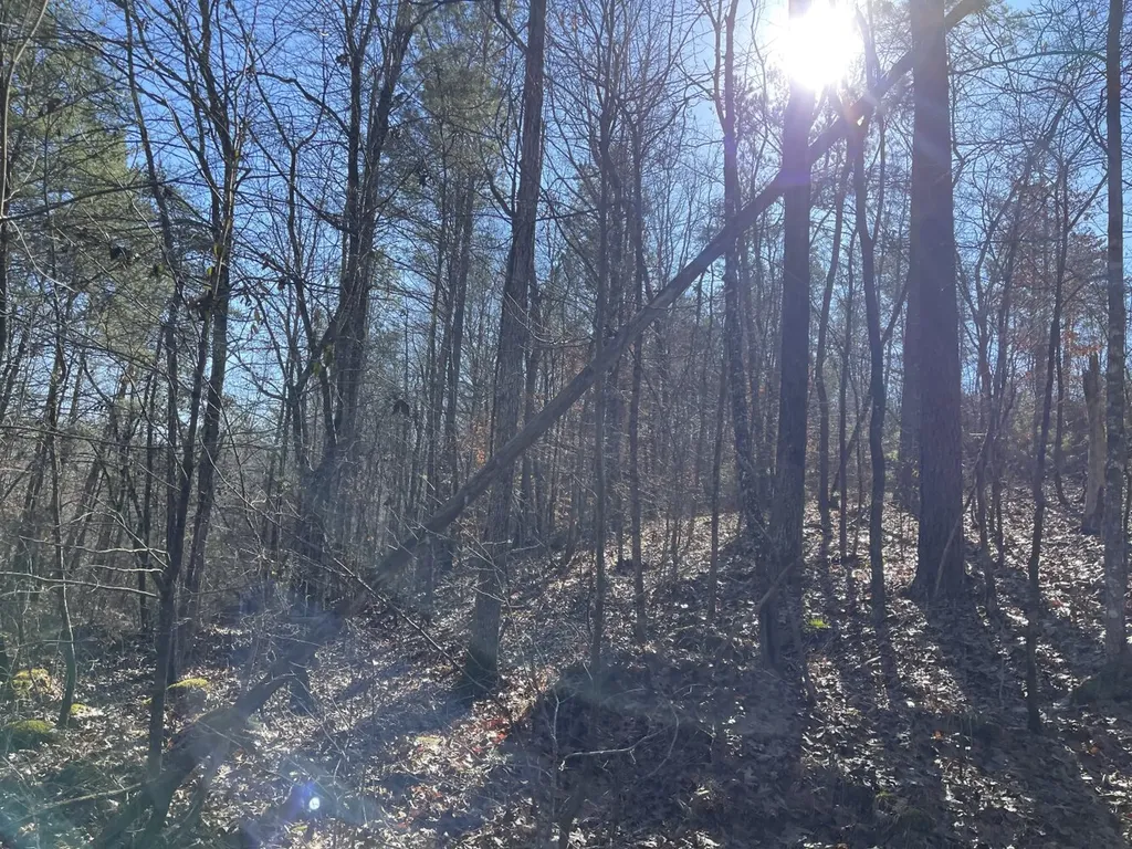 0 Tutweiler Road Oakman AL 35579