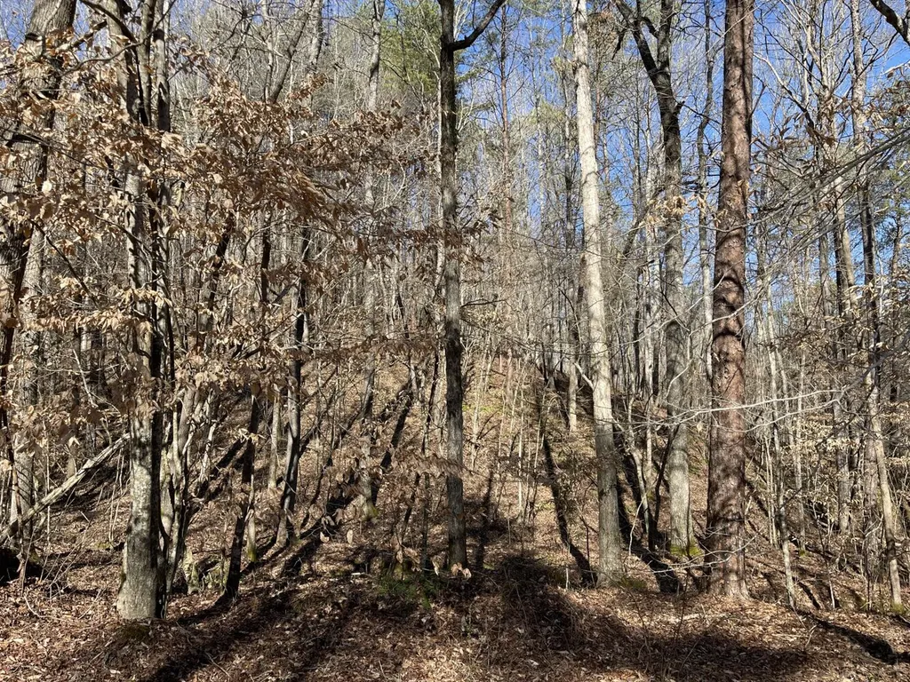 0 Tutweiler Road Oakman AL 35579