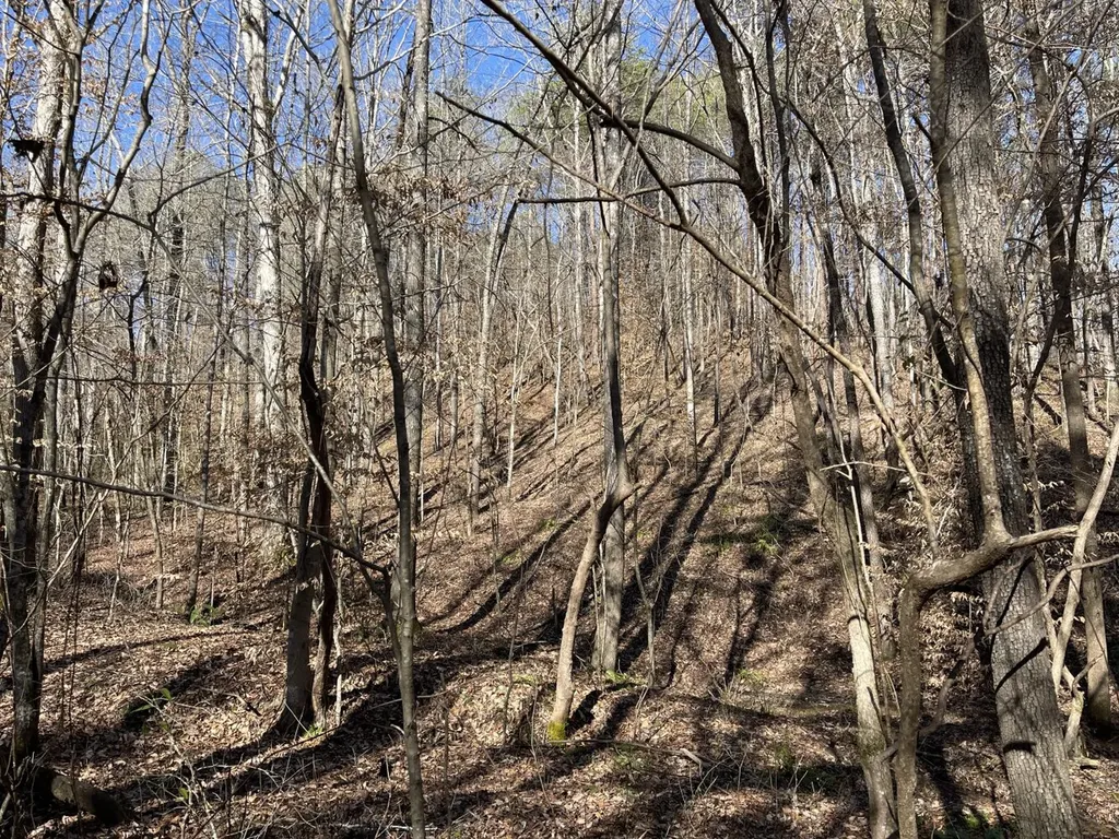 0 Tutweiler Road Oakman AL 35579