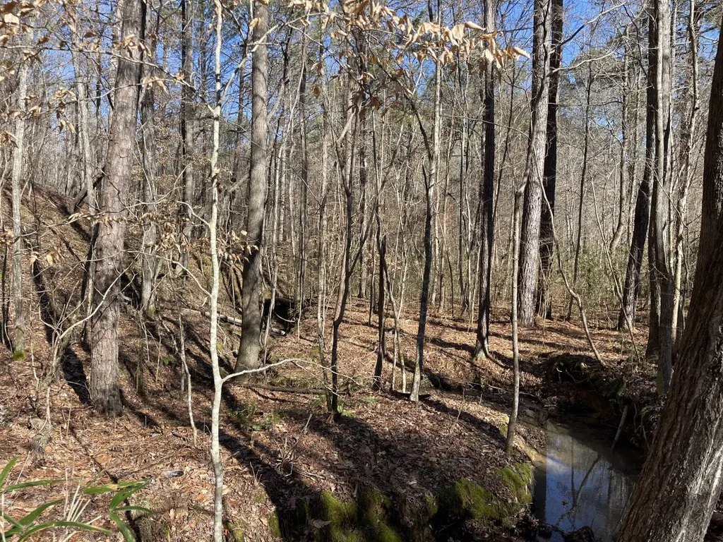 0 Tutweiler Road Oakman AL 35579